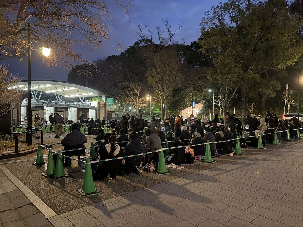上野動物園貓熊返中倒數1個月排隊數小時限看1分鐘
