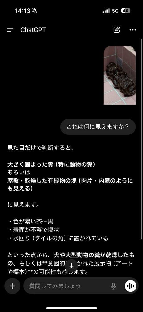 宛如浴室地磚擺甜甜圈 I’m donut? 澀谷店：全面檢討