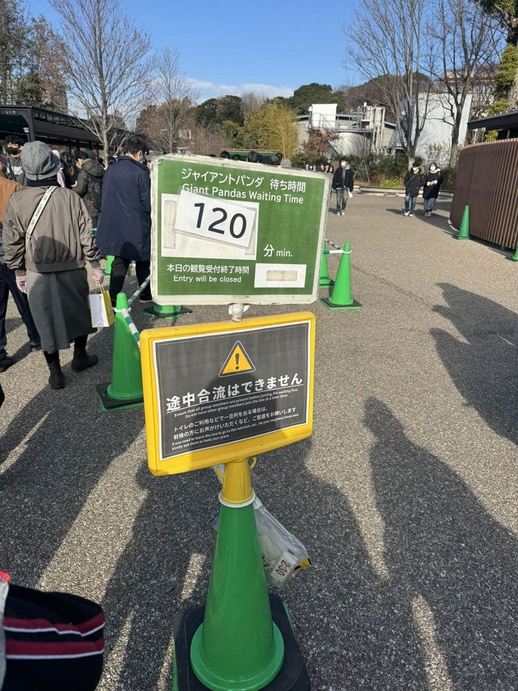 上野動物園貓熊返中倒數1個月排隊數小時限看1分鐘