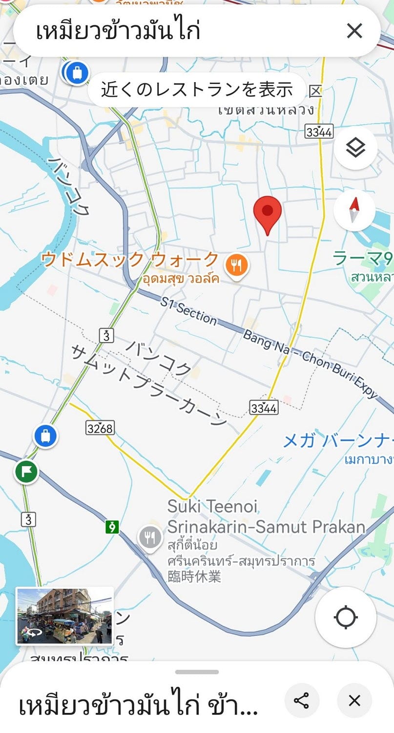 多語言配音助攻 涅安融合泰元素 手作雞飯同名店爆紅 - 第49張圖 多語言配音助攻 涅安融合泰元素 手作雞飯同名店爆紅