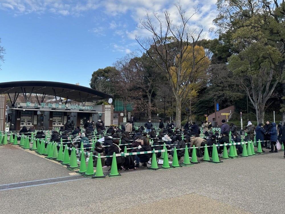 上野動物園貓熊返中倒數1個月排隊數小時限看1分鐘