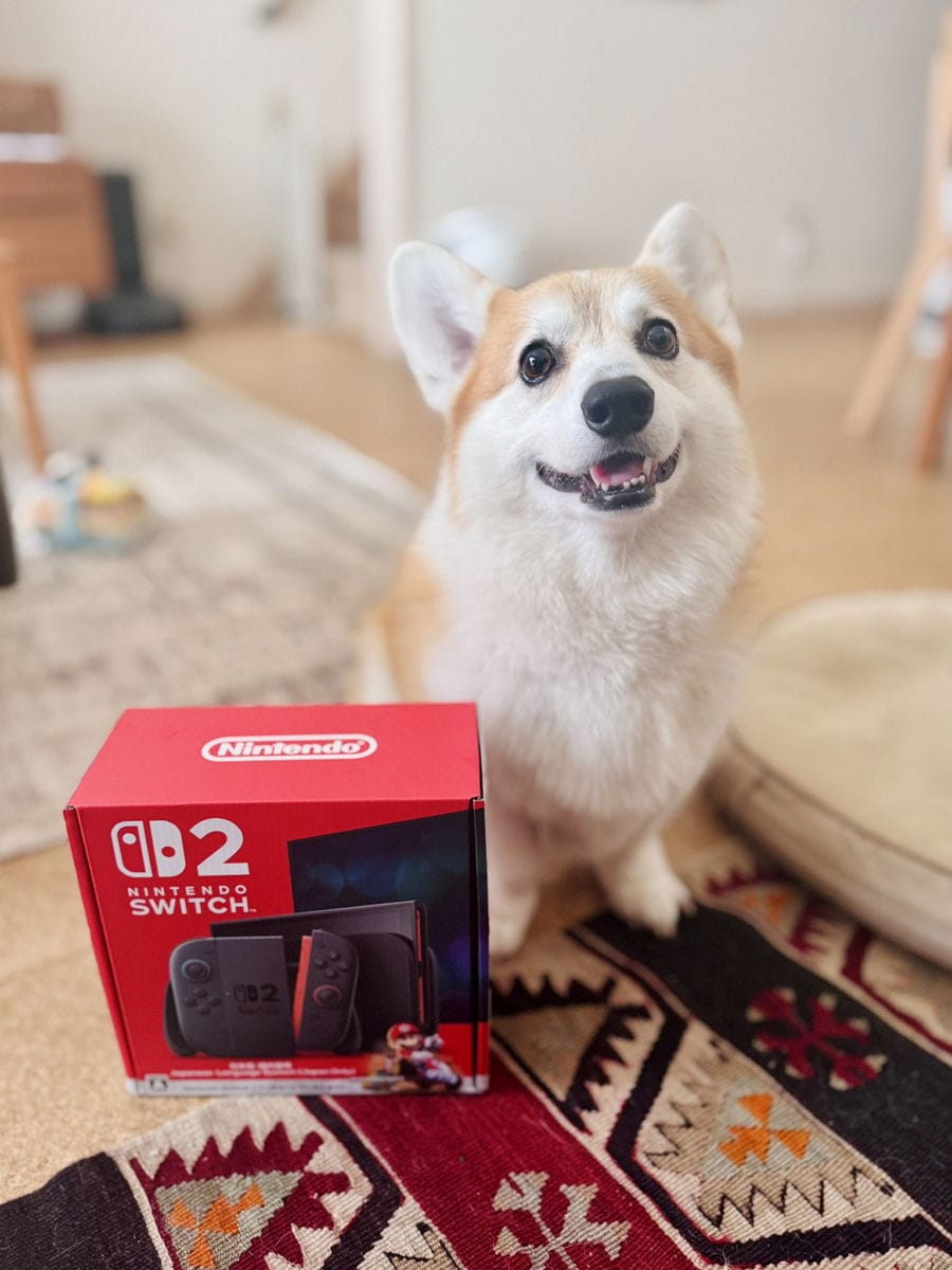 鄉下→都市 Switch2現貨上架數量增多 辛苦白抽一場? - 第37張圖 鄉下→都市 Switch2現貨上架數量增多 辛苦白抽一場?