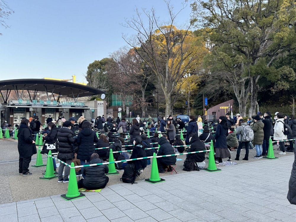 上野動物園貓熊返中倒數1個月排隊數小時限看1分鐘