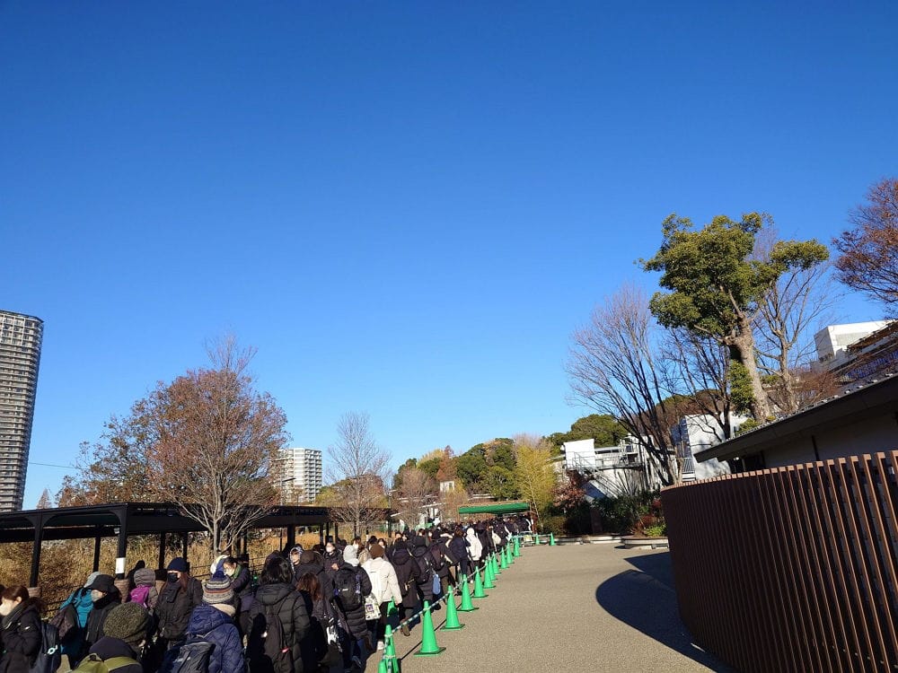 上野動物園貓熊返中倒數1個月排隊數小時限看1分鐘