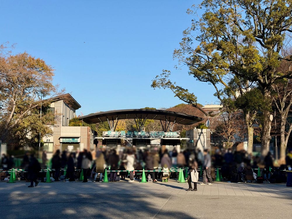 上野動物園貓熊返中倒數1個月排隊數小時限看1分鐘
