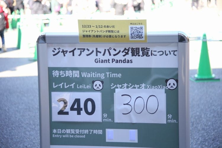 上野動物園貓熊返中倒數1個月排隊數小時限看1分鐘