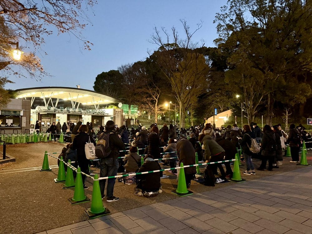 上野動物園貓熊返中倒數1個月排隊數小時限看1分鐘