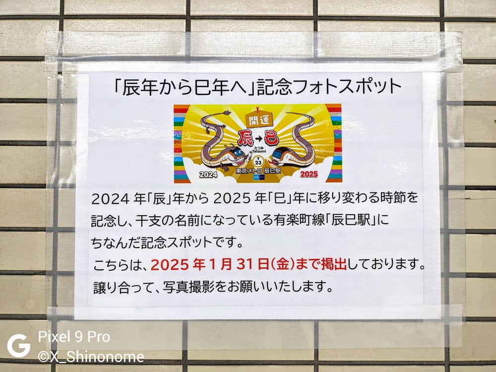 民眾打卡辰巳站搶紀念車票 12年1度送龍迎蛇超應景 - 第34張圖 民眾打卡辰巳站搶紀念車票 12年1度送龍迎蛇超應景