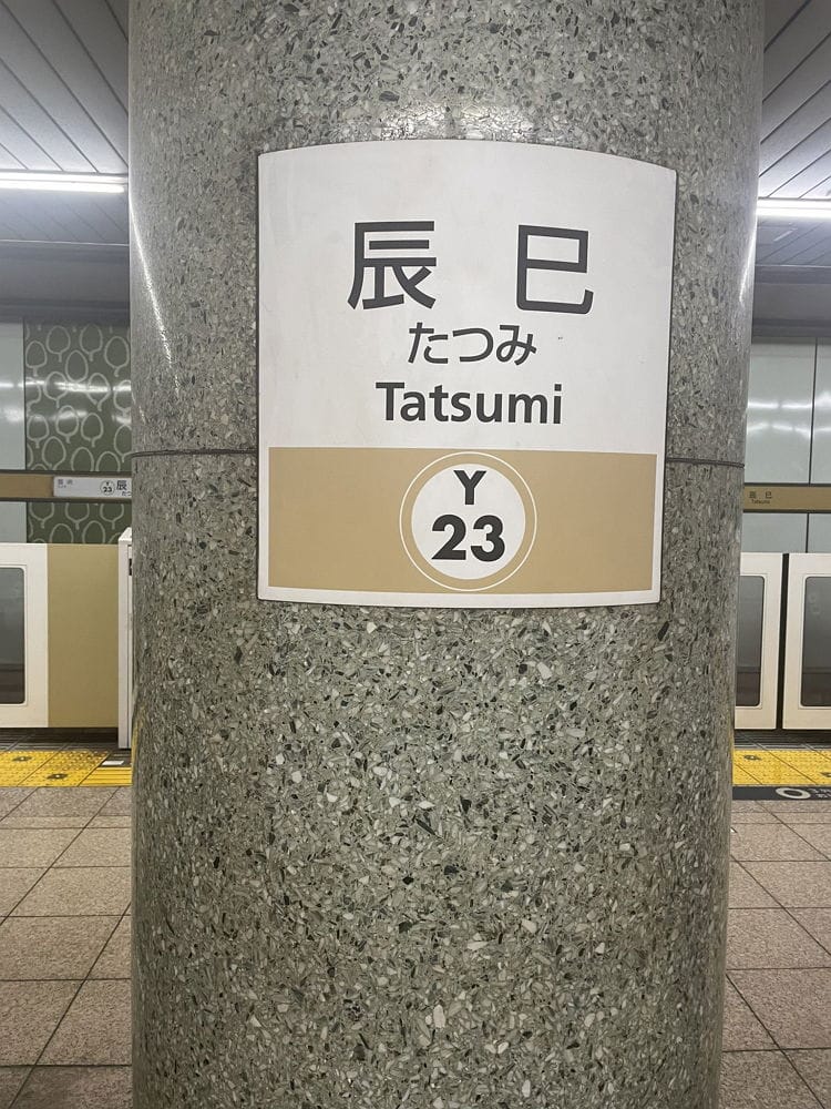 民眾打卡辰巳站搶紀念車票 12年1度送龍迎蛇超應景 - 第38張圖 民眾打卡辰巳站搶紀念車票 12年1度送龍迎蛇超應景