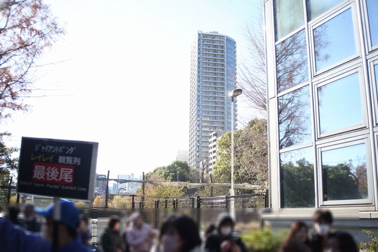 上野動物園貓熊返中倒數1個月排隊數小時限看1分鐘