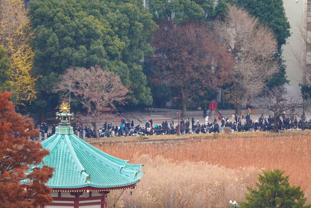 上野動物園貓熊返中倒數1個月排隊數小時限看1分鐘