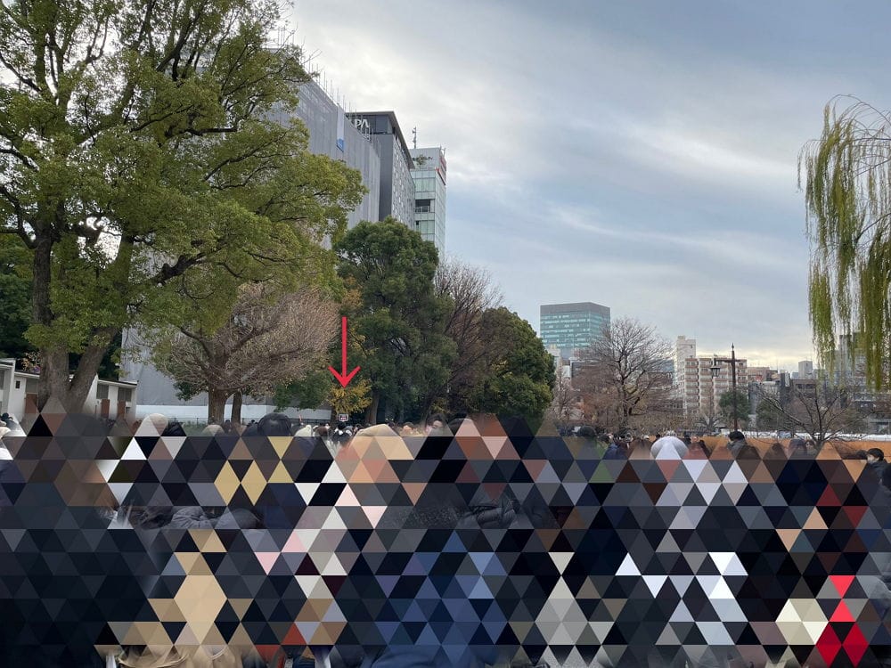 上野動物園貓熊返中倒數1個月排隊數小時限看1分鐘
