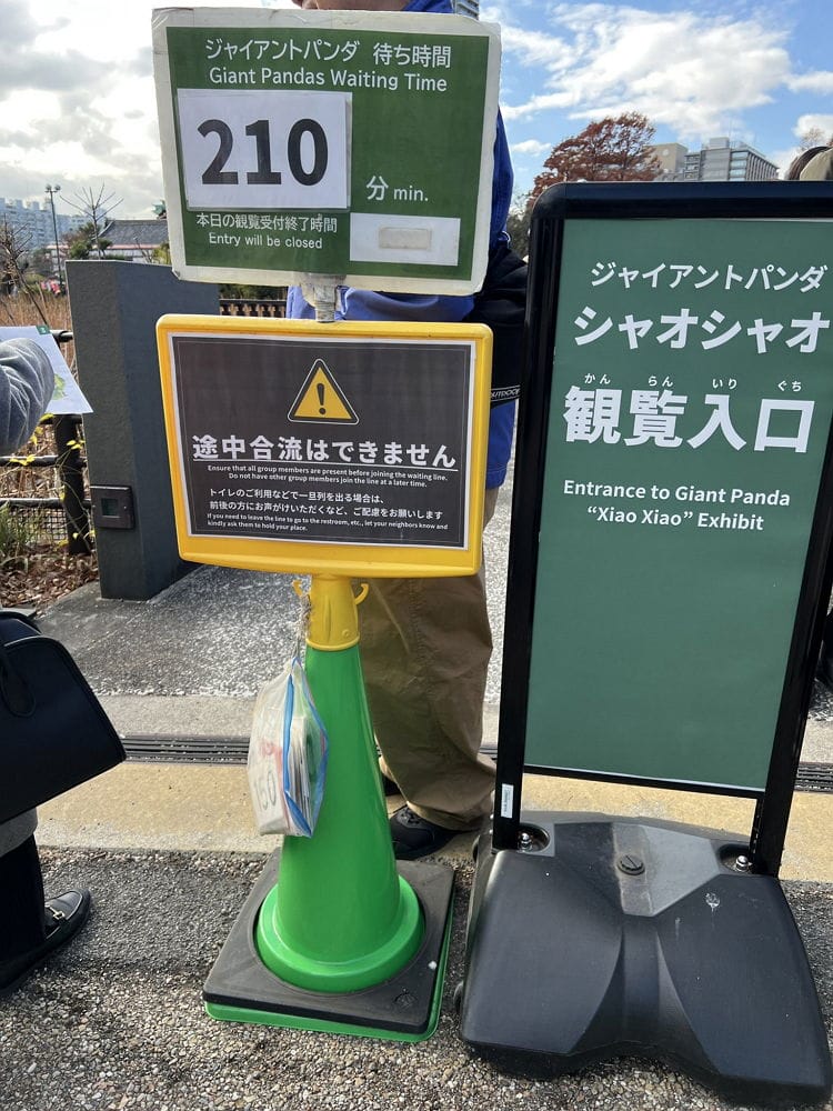 上野動物園貓熊返中倒數1個月排隊數小時限看1分鐘