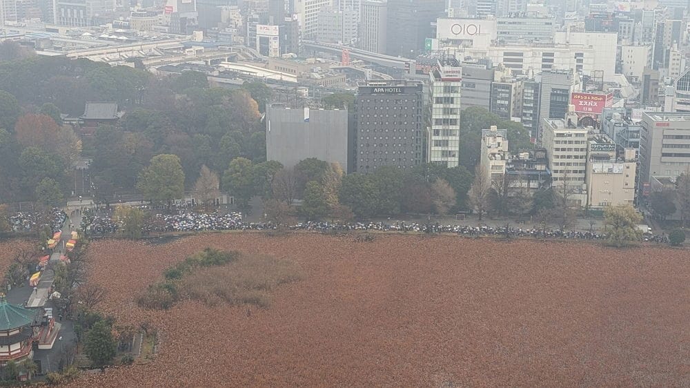 上野動物園貓熊返中倒數1個月排隊數小時限看1分鐘