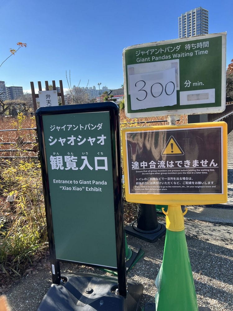 上野動物園貓熊返中倒數1個月排隊數小時限看1分鐘