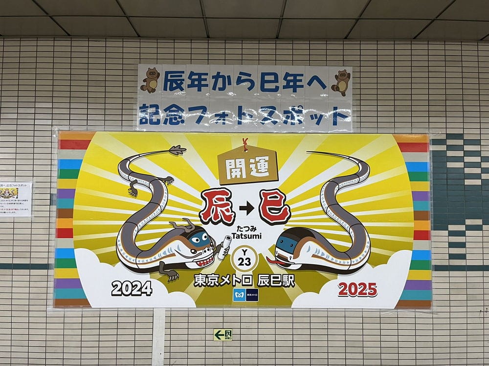 民眾打卡辰巳站搶紀念車票 12年1度送龍迎蛇超應景 - 第15張圖 民眾打卡辰巳站搶紀念車票 12年1度送龍迎蛇超應景