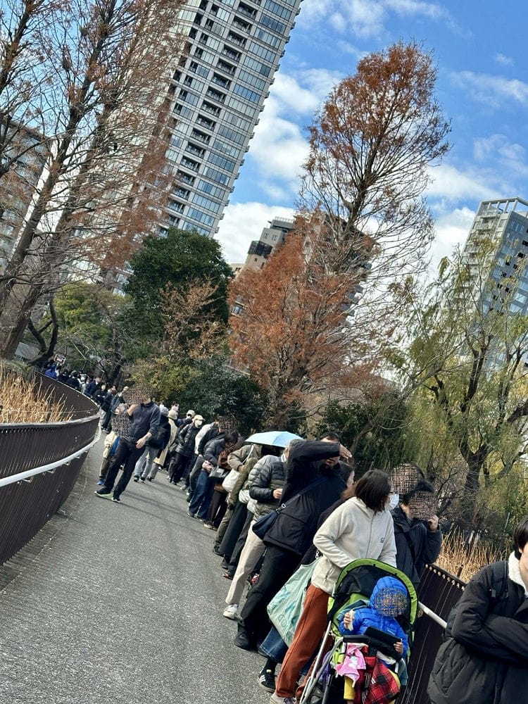 上野動物園貓熊返中倒數1個月排隊數小時限看1分鐘