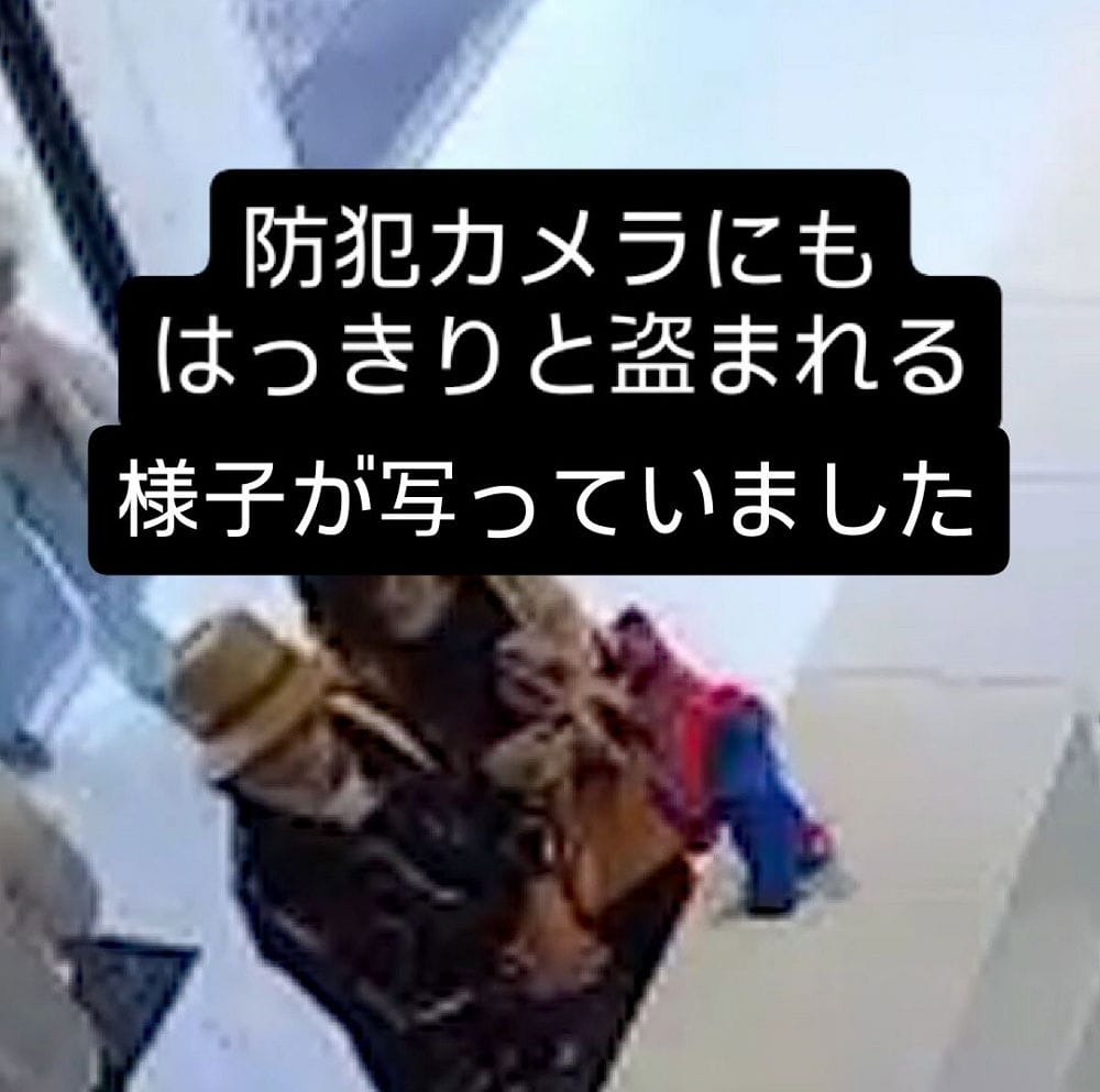 世博波羅的海館入口迎賓脈脈失竊民眾自發奉上補救 - 第40張圖 世博波羅的海館入口迎賓脈脈失竊民眾自發奉上補救