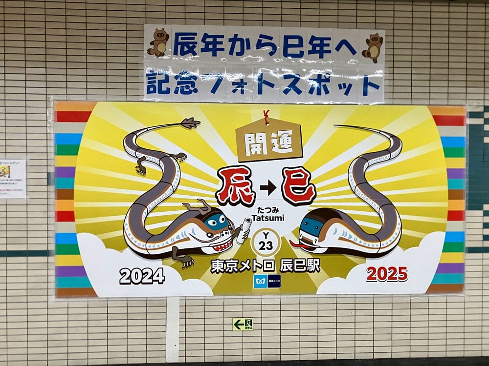 民眾打卡辰巳站搶紀念車票 12年1度送龍迎蛇超應景 - 第30張圖 民眾打卡辰巳站搶紀念車票 12年1度送龍迎蛇超應景