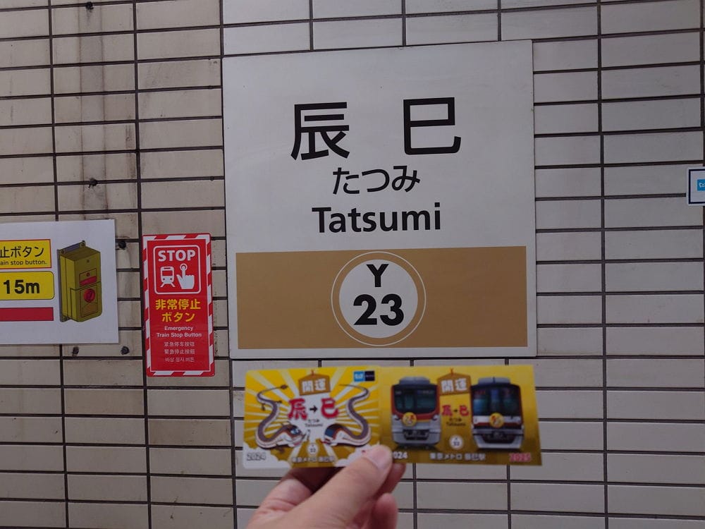 民眾打卡辰巳站搶紀念車票 12年1度送龍迎蛇超應景 - 第45張圖 民眾打卡辰巳站搶紀念車票 12年1度送龍迎蛇超應景