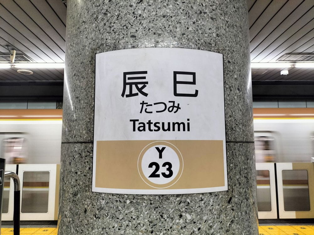 民眾打卡辰巳站搶紀念車票 12年1度送龍迎蛇超應景 - 第35張圖 民眾打卡辰巳站搶紀念車票 12年1度送龍迎蛇超應景