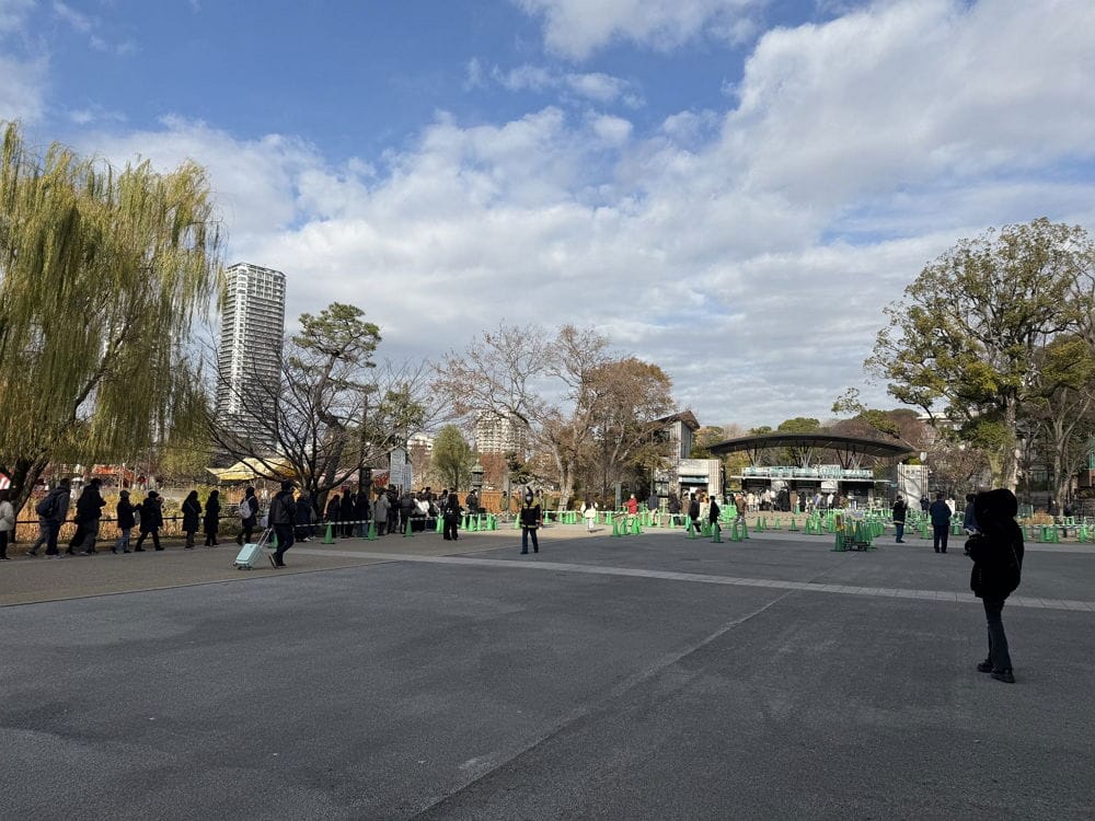 上野動物園貓熊返中倒數1個月排隊數小時限看1分鐘