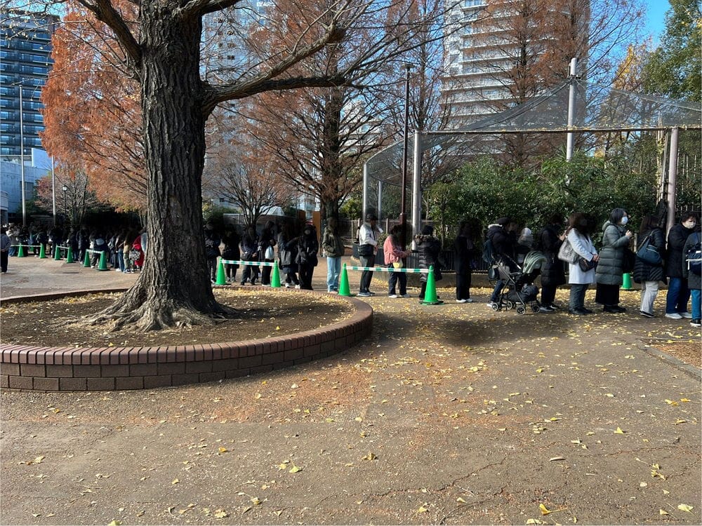 上野動物園貓熊返中倒數1個月排隊數小時限看1分鐘