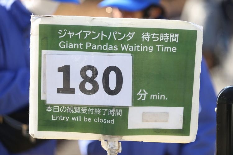 上野動物園貓熊返中倒數1個月排隊數小時限看1分鐘