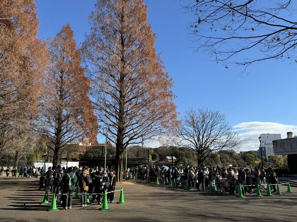 上野動物園貓熊返中倒數1個月排隊數小時限看1分鐘