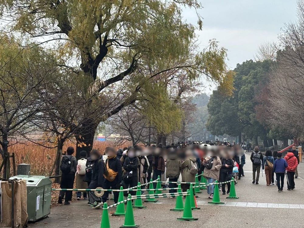 上野動物園貓熊返中倒數1個月排隊數小時限看1分鐘