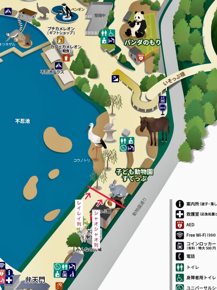 上野動物園貓熊返中倒數1個月排隊數小時限看1分鐘