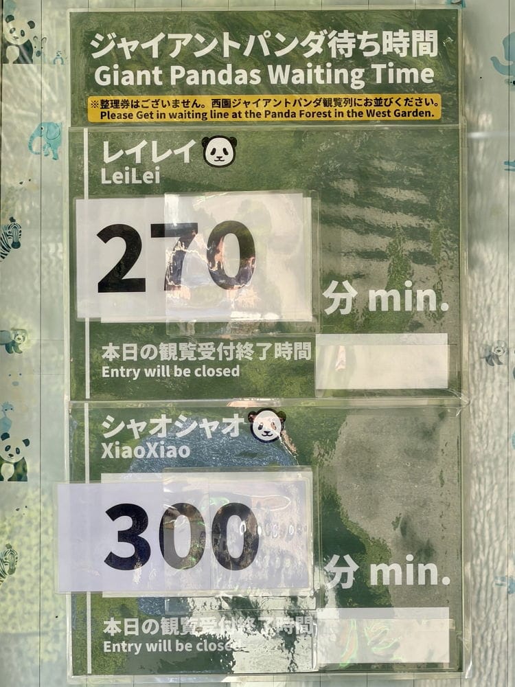 上野動物園貓熊返中倒數1個月排隊數小時限看1分鐘