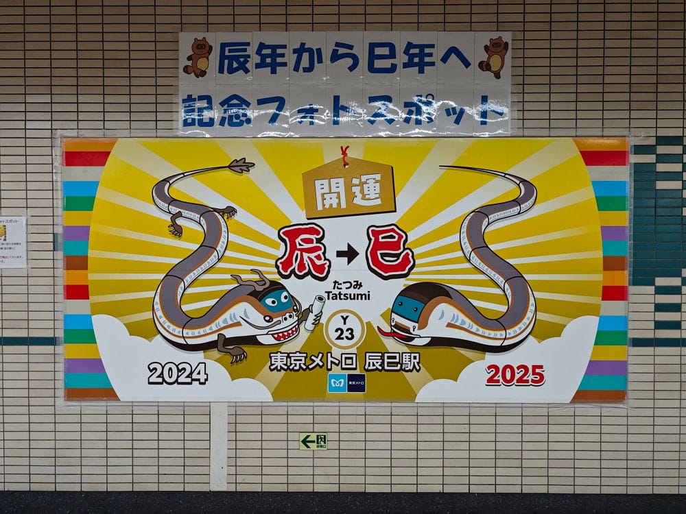 民眾打卡辰巳站搶紀念車票 12年1度送龍迎蛇超應景 - 第47張圖 民眾打卡辰巳站搶紀念車票 12年1度送龍迎蛇超應景