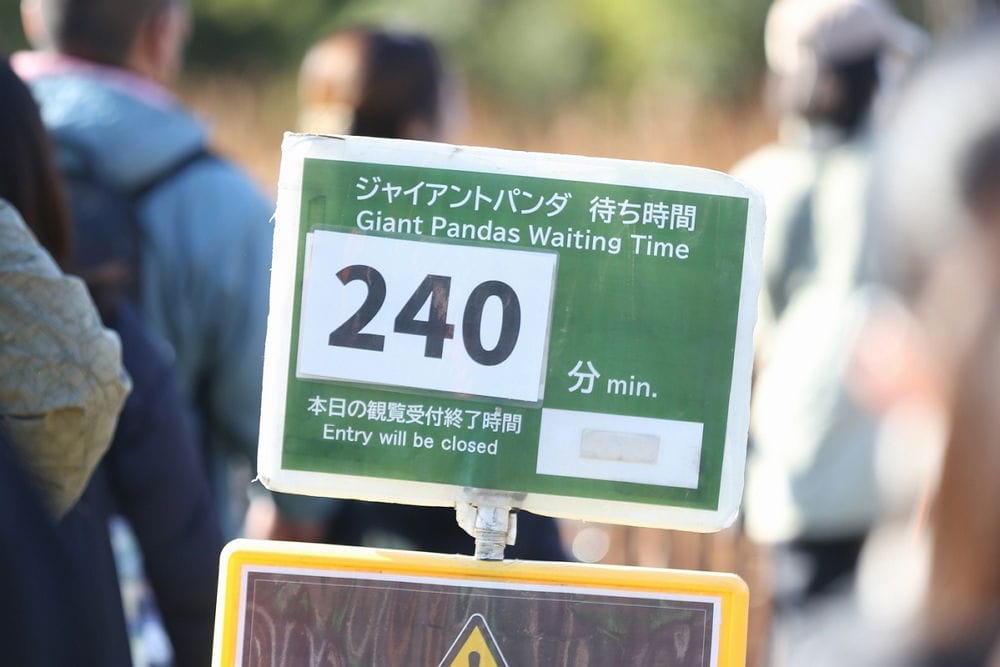 上野動物園貓熊返中倒數1個月排隊數小時限看1分鐘