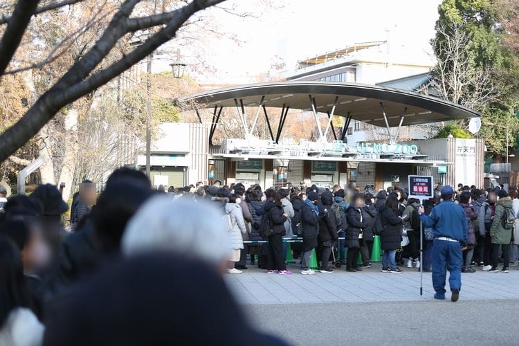 上野動物園貓熊返中倒數1個月排隊數小時限看1分鐘