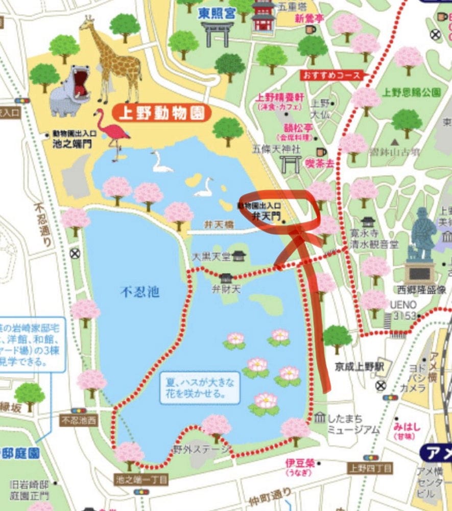 上野動物園貓熊返中倒數1個月排隊數小時限看1分鐘
