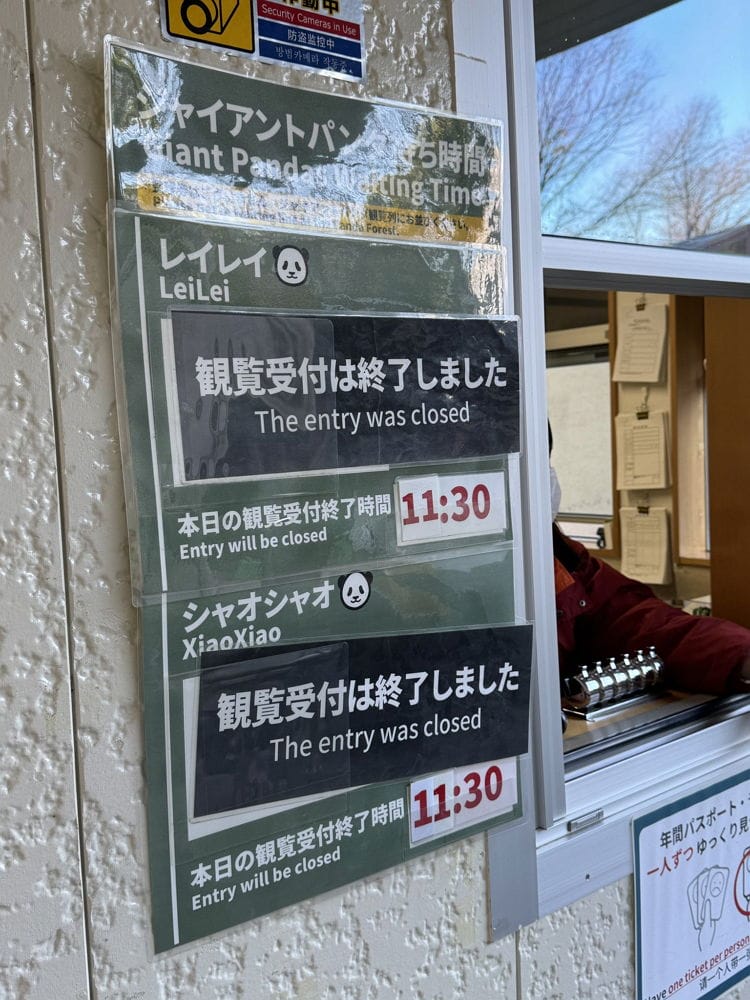 上野動物園貓熊返中倒數1個月排隊數小時限看1分鐘