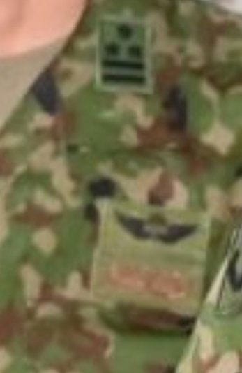 長野獵人嘆時薪少誰要做 自衛隊少將領軍抗秋田熊害 - 第9張圖 長野獵人嘆時薪少誰要做 自衛隊少將領軍抗秋田熊害