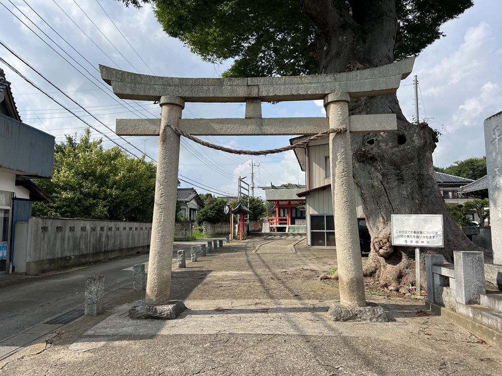 大尺度「性器麻糬」 高道祖神社重口味求子好害羞