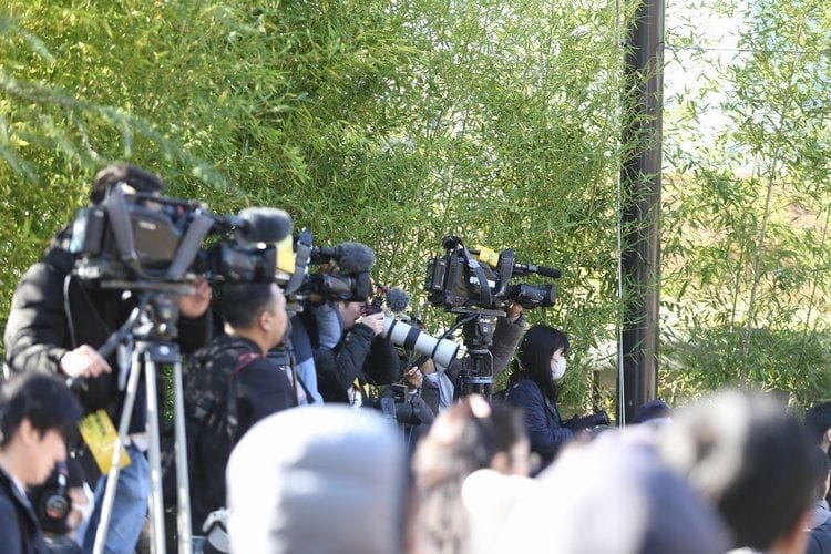 上野動物園貓熊返中倒數1個月排隊數小時限看1分鐘