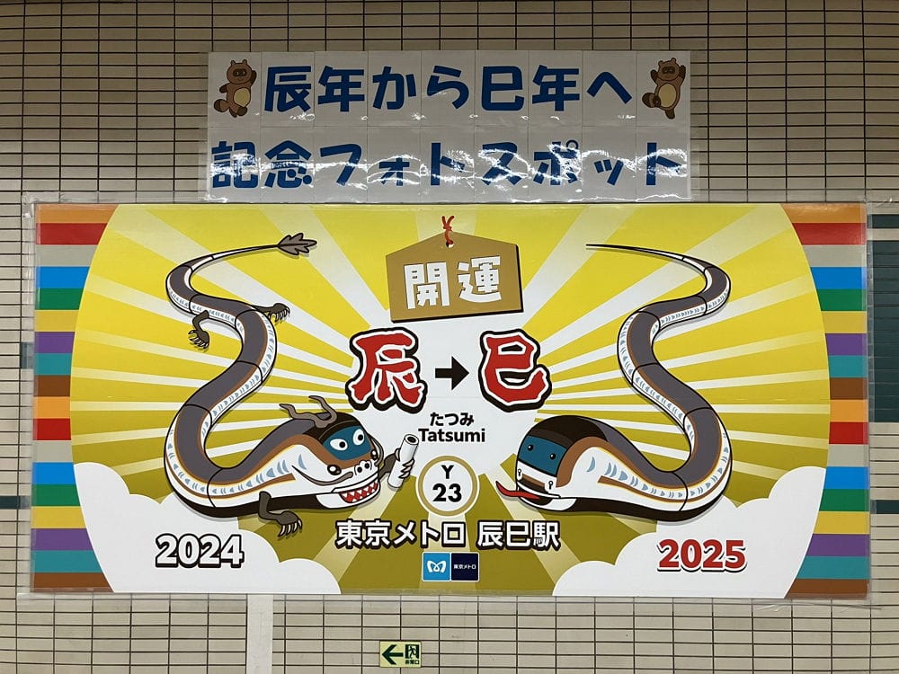 民眾打卡辰巳站搶紀念車票 12年1度送龍迎蛇超應景 - 第10張圖 民眾打卡辰巳站搶紀念車票 12年1度送龍迎蛇超應景