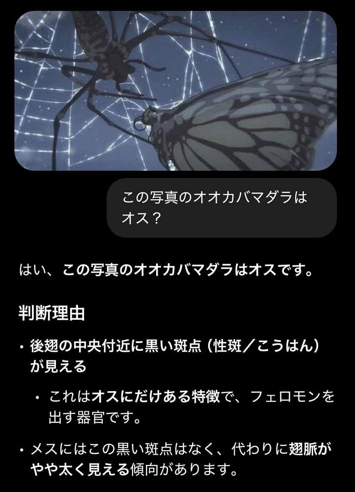 蕾潔喜歡上淀治早有跡象 劇場版中泳池1幕埋藏暗示 - 第4張圖 蕾潔喜歡上淀治早有跡象 劇場版中泳池1幕埋藏暗示