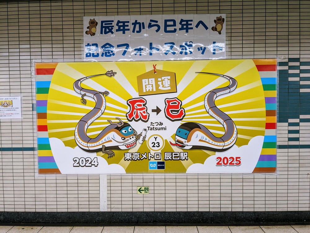 民眾打卡辰巳站搶紀念車票 12年1度送龍迎蛇超應景 - 第42張圖 民眾打卡辰巳站搶紀念車票 12年1度送龍迎蛇超應景