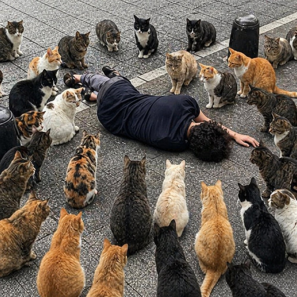 外國人不解「路倒醉漢被水瓶飲料包圍」網揭密原因