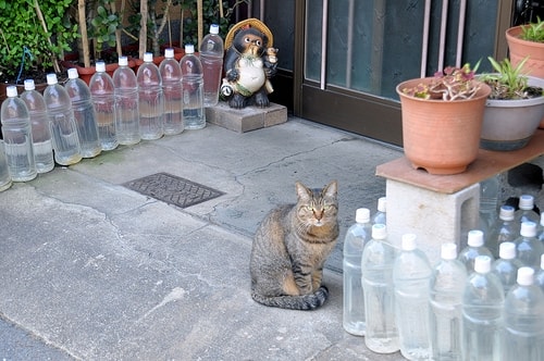 外國人不解「路倒醉漢被水瓶飲料包圍」網揭密原因