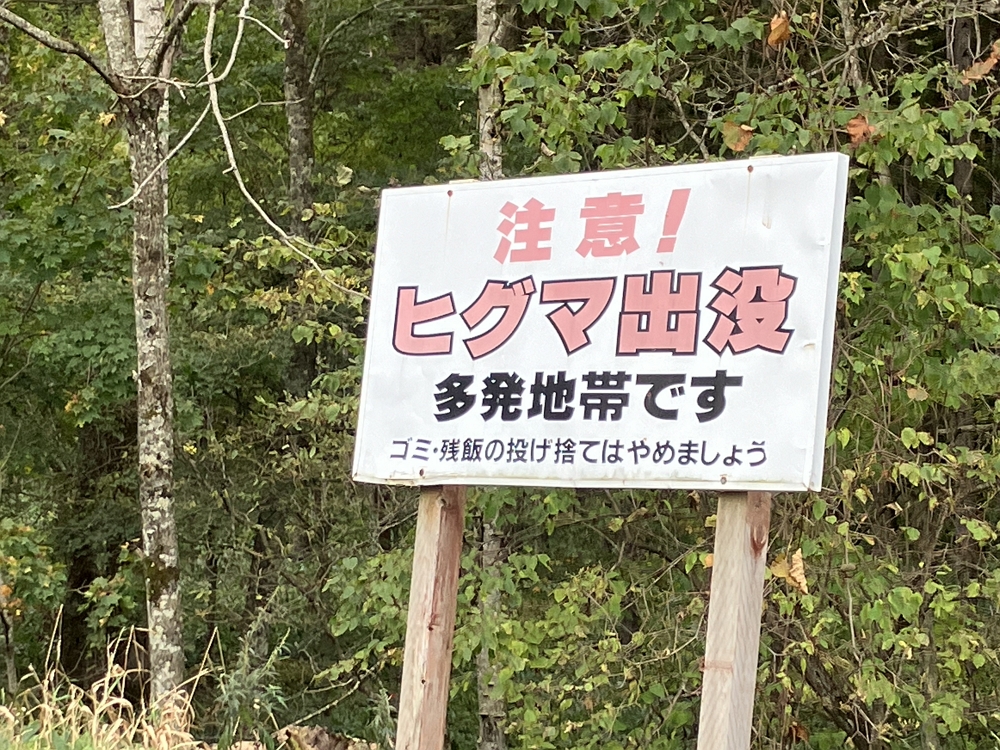疑啃食上半身不見 東京首宗熊襲身亡? 死者身分待確認